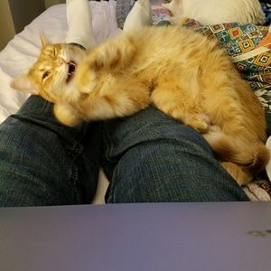 Meet your Posher, Joshua